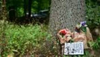 Nach Angriff beim CSD: Dobrindt und Wegner wollen sich bei Pk im Tiergarten äußern