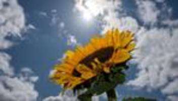 Wetter: Neue Woche bringt wieder Hitze