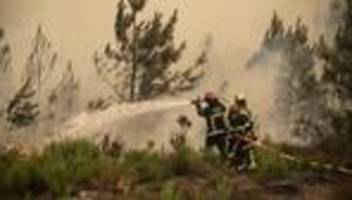 Waldbrände in Frankreich und Spanien: Weitere Evakuierungen um Bordeaux, neuer Waldbrand bei Valencia