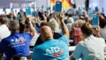 landtagswahl sachsen-anhalt: wie radikal die afd sachsen-anhalt umbauen will