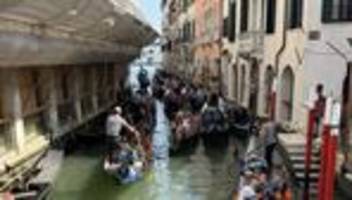 Venedig: Venedig nimmt fünf Millionen Euro Eintrittsgeld ein