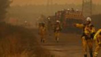 waldbrände in frankreich und spanien: feuer in südeuropa zwingen rund 300.000 menschen zur flucht