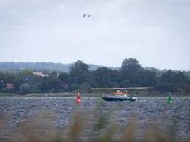 Nach Sichtung in Ostsee: Wal im Hafen von Wismar aufgetaucht