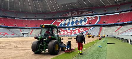 italiener verkaufen dem fc bayern gras: warum der rasen der allianz arena aus mailand kommt