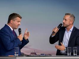 wahl in sachsen-anhalt: „die hauptfachkraft weidel kommt ja auch aus dem ausland“