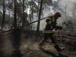waldbrände in frankreich: münchen bietet partnerstadt bordeaux hilfe im kampf gegen die flammen an