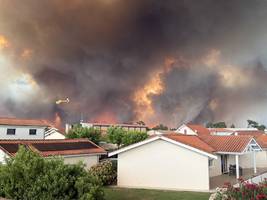 Waldbrände in Frankreich: „Die ganze Stadt wurde evakuiert und ich habe es verschlafen“