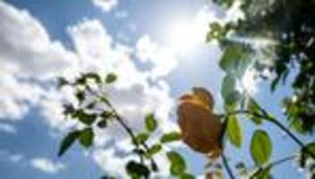 Wettervorhersage: Temperaturen über 30 Grad - nächste Hitzewelle erwartet