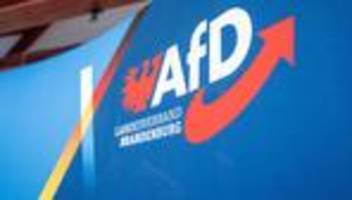 AfD in Brandenburg: AfD-Kandidatin wird Ortsvorsteherin in Gemeinde bei Berlin