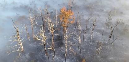 waldbrände in frankreich: so schädlich ist der rauch für die gesundheit