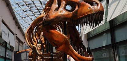 Dinosaurier verendeten wohl unter einer globalen Feinstaubglocke