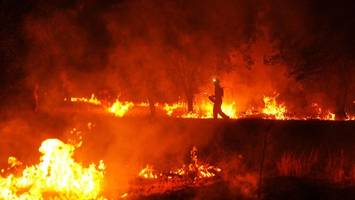 brandstiftung oder blitzschlag? so entstehen verheerende waldbrände