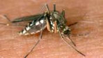 Infektionen: Erstmals West-Nil-Virus in Rheinland-Pfalz nachgewiesen