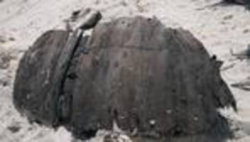 Schiffswrack gefunden: Historisches Schiffswrack vor Norderney entdeckt