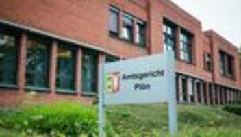 strafgerichte: weniger straftäter in schleswig-holstein verurteilt