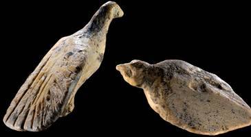 Schwäbische Alb: Archäologen finden zwei 40 000 Jahre alte Vogelfiguren aus Mammutstoßzähnen