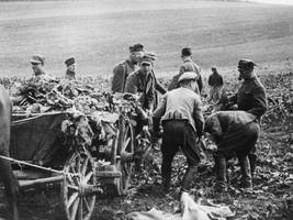 Entschädigung für polnische NS-Opfer: „Zwangsarbeiter in der Landwirtschaft erhielten einmalig 2220 D-Mark“