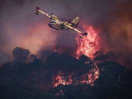 waldbrände in frankreich: hätte das inferno in der gironde verhindert werden können?