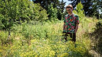 garten-influencer verrät: das würde ich bei hitze in meinem garten nie tun