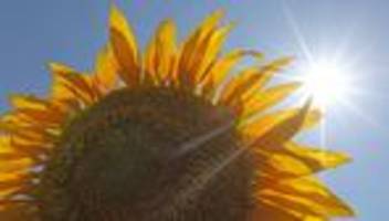 Wetter-Bilanz: Juli in Sachsen-Anhalt mit besonders viel Sonne