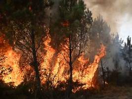 Tausende Menschen evakuiert: Neue Waldbrände flammen in Südeuropa auf