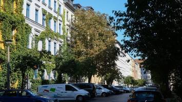 Hitze in der Stadt: Klimaanlagen sind gut, Bäume sind besser