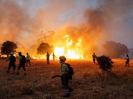klimawandel: wie die eu als freiwillige feuerwehr waldbrände bekämpft