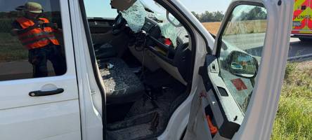 Wildunfall nahe vom Augsburger Flughafen: Autofahrer wird verletzt, das Reh stirbt