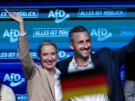 Debatte: Die Lage ist zu brenzlig, um nicht gegen die AfD zu kämpfen